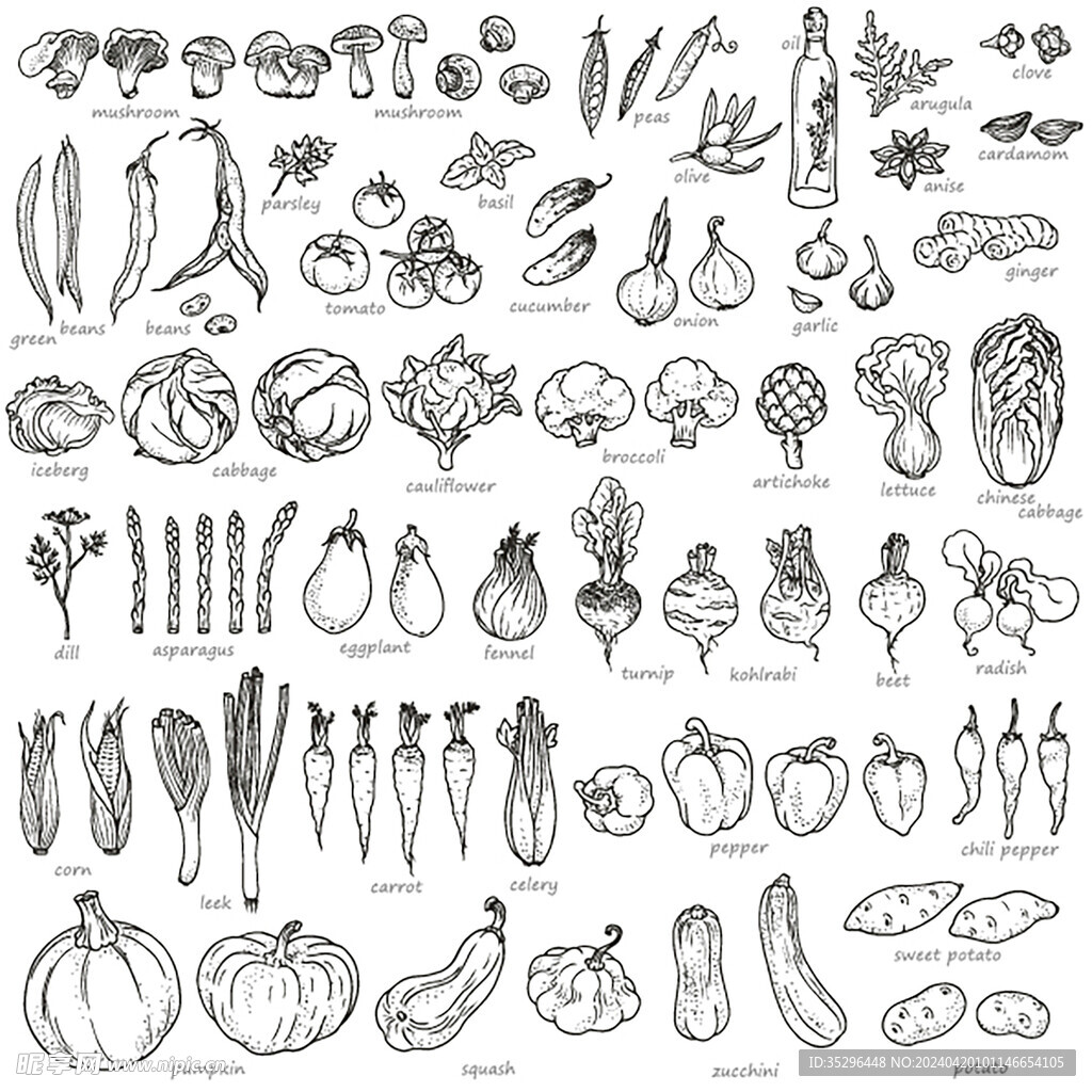 食物蔬菜素描线稿