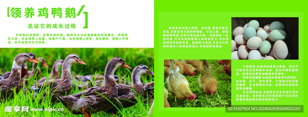 共享農莊畫冊