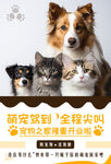 寵物海報
