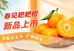 柑橘生鲜水果banner
