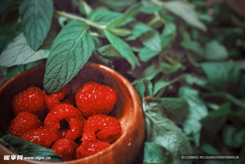 覆盆子树莓