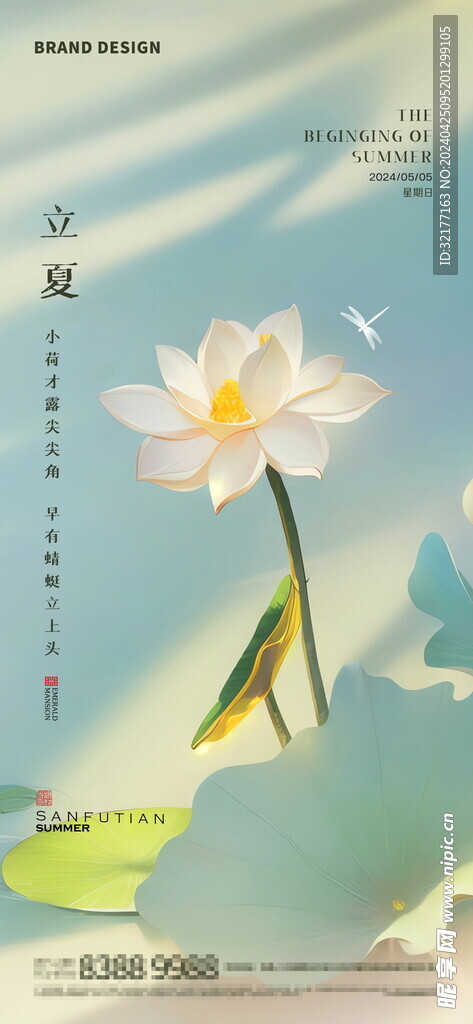 立夏節氣海報