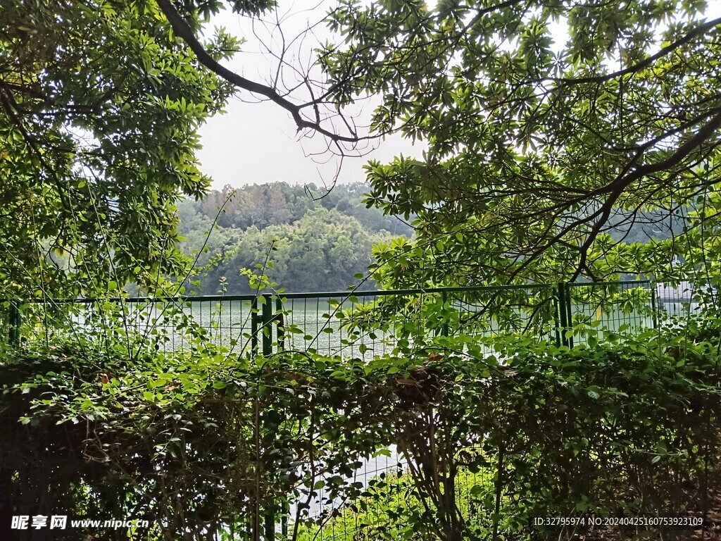樹木園一景