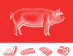 肉猪分割
