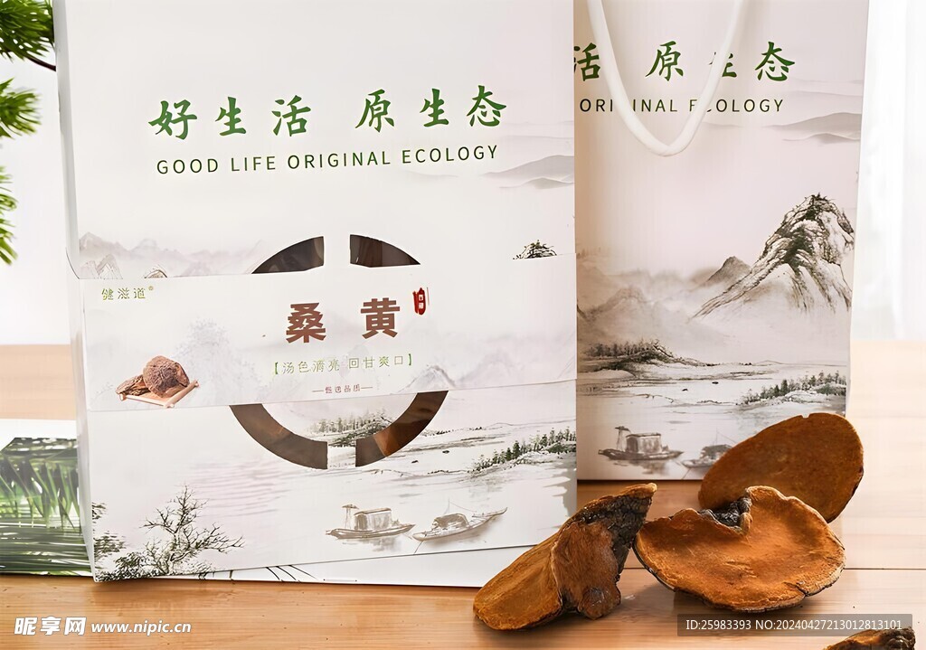 桑黃