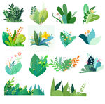 手绘植物插画元素