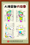 人体足部穴位图