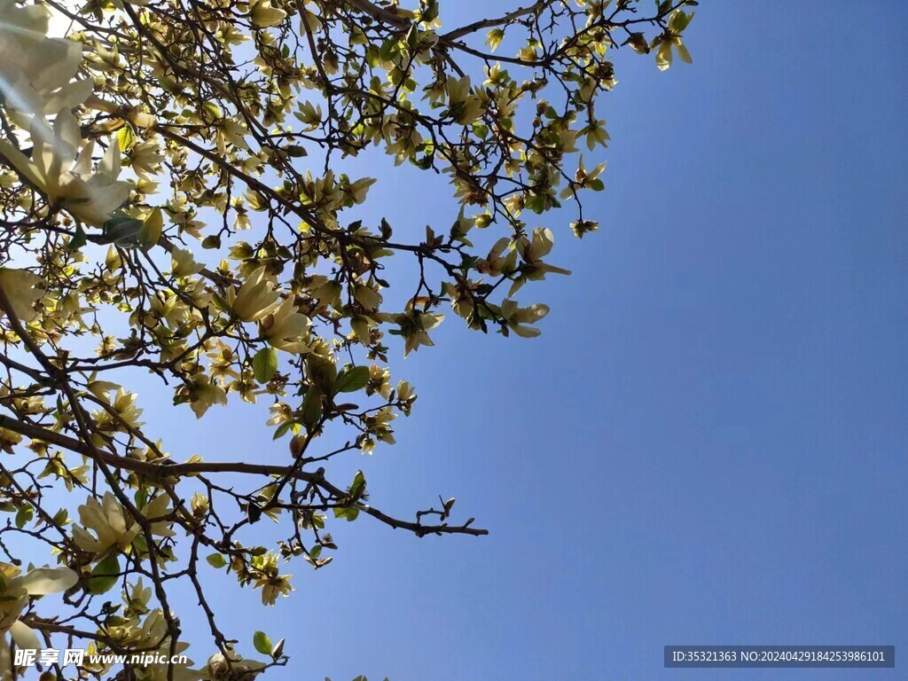 天空