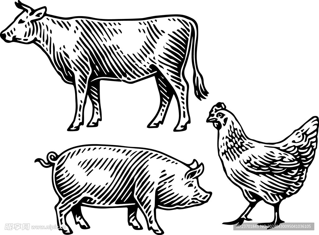 矢量线稿猪牛鸡手绘黑白图标 