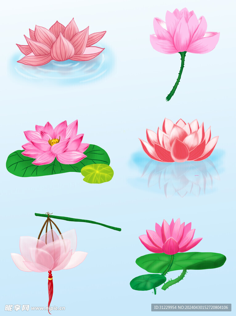 蓮花 