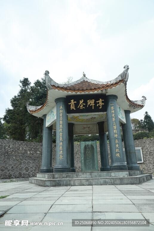 貴定云霧貢茶