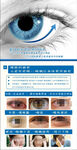 眼球养护展架