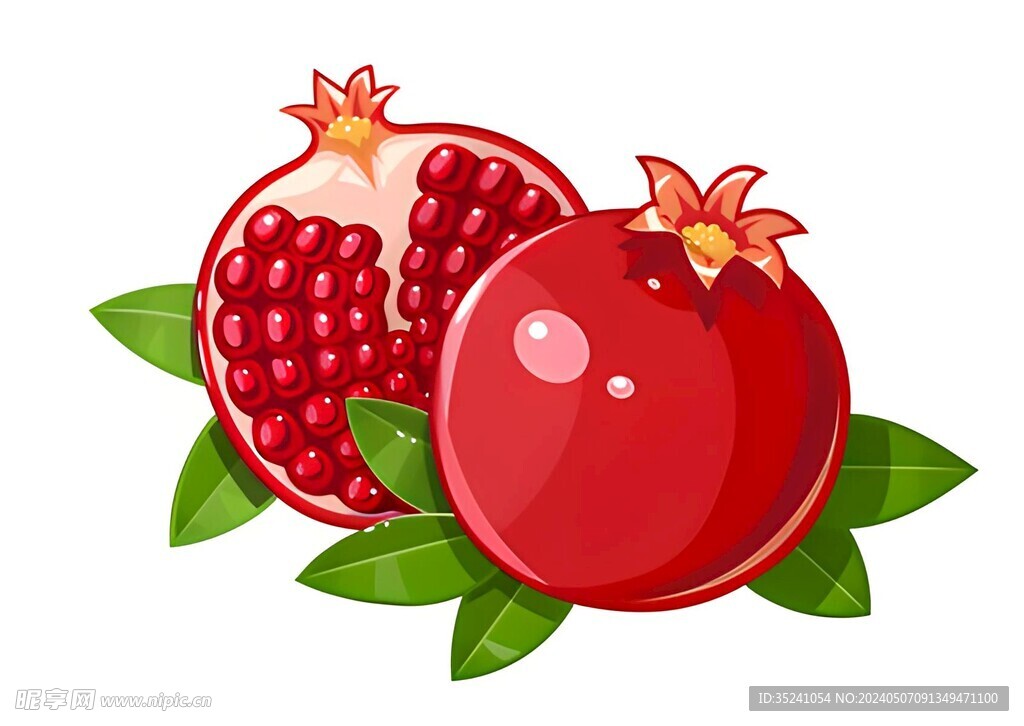 石榴插畫