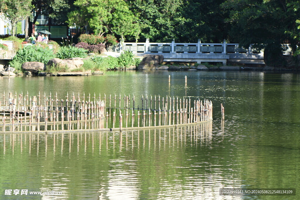 綠湖