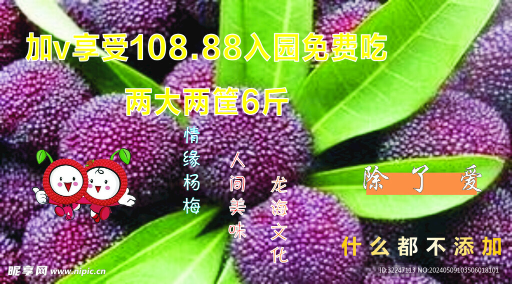 楊梅