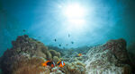 海底世界珊瑚礁水族馆