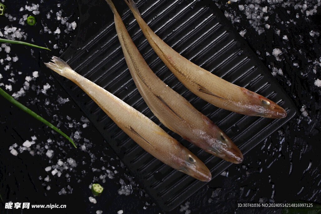 三條海魚