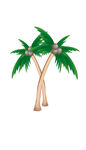 椰树椰子海边树木植物矢量元素