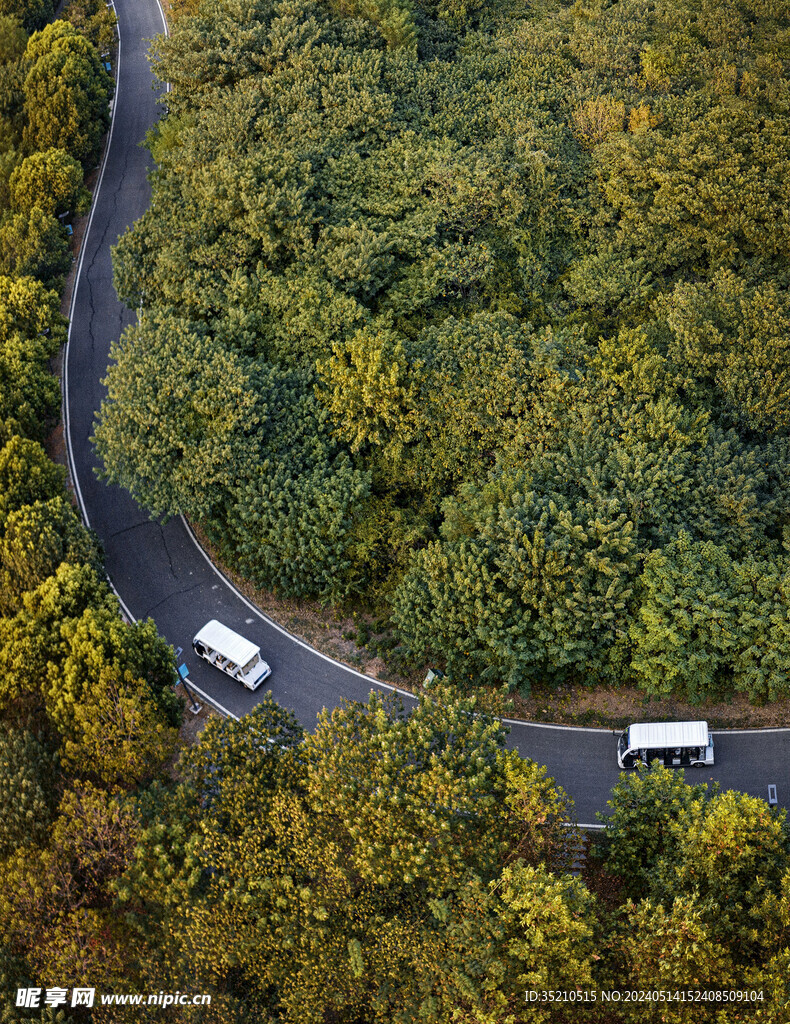 綠化中的道路