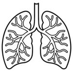 人体肺部图标风格