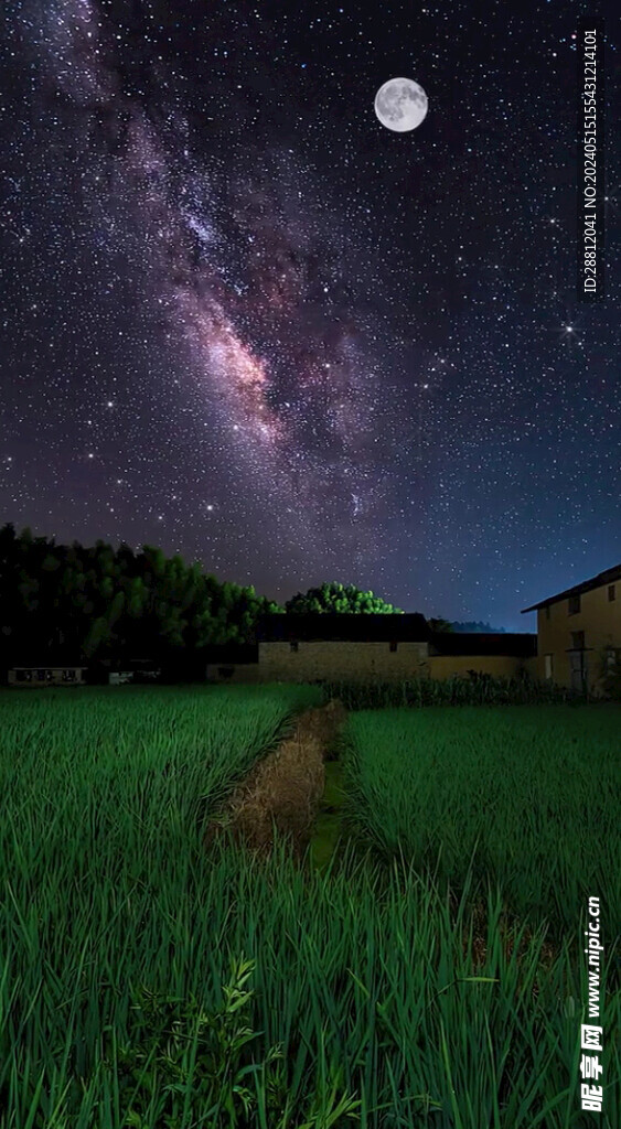 高清唯美風(fēng)景拍攝豎屏素材