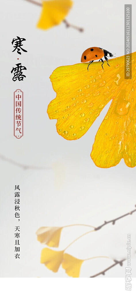 寒露海報