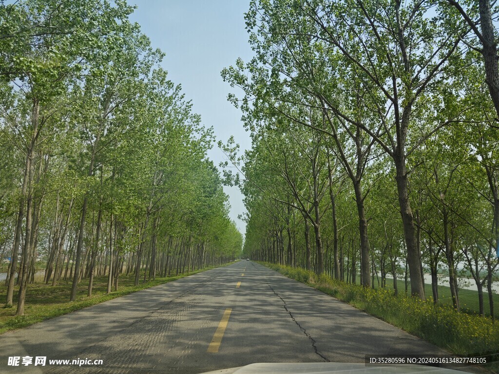 新沂河