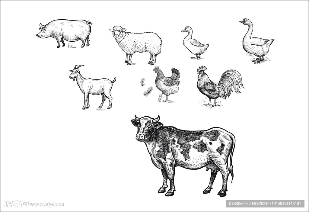 動物矢量圖