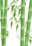 竹节