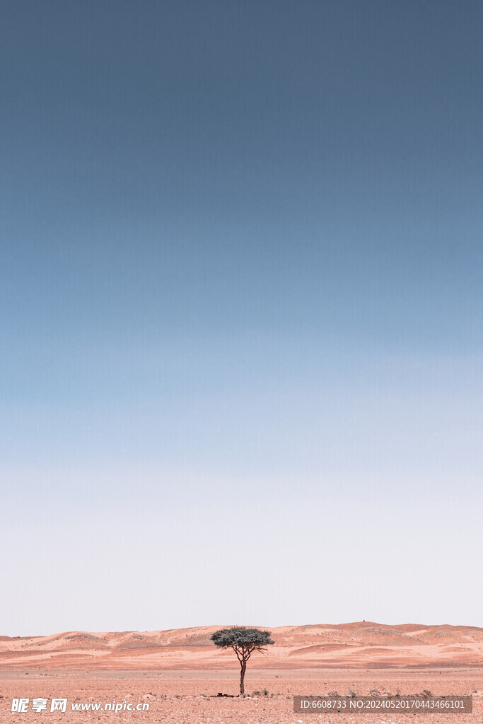 荒野