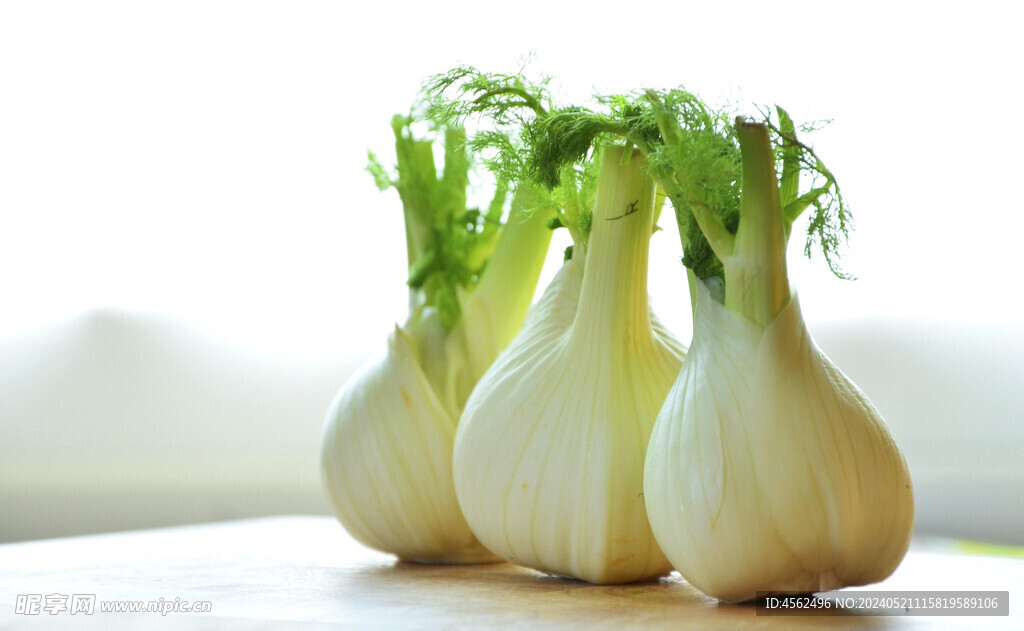 小茴香菜
