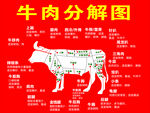 牛肉分解图