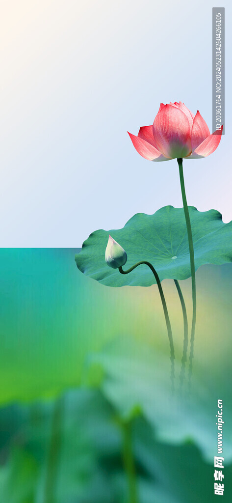 節(jié)氣海報           