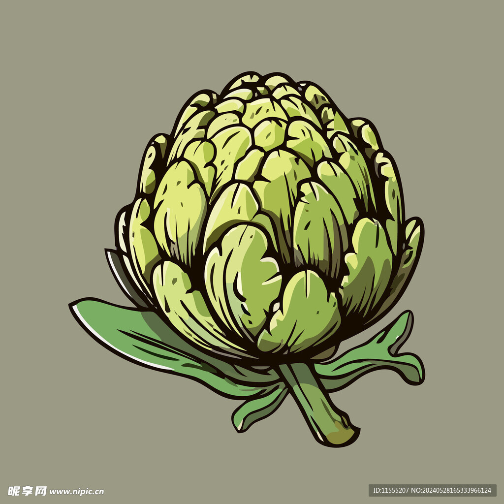 洋薊蔬菜手繪矢量插畫
