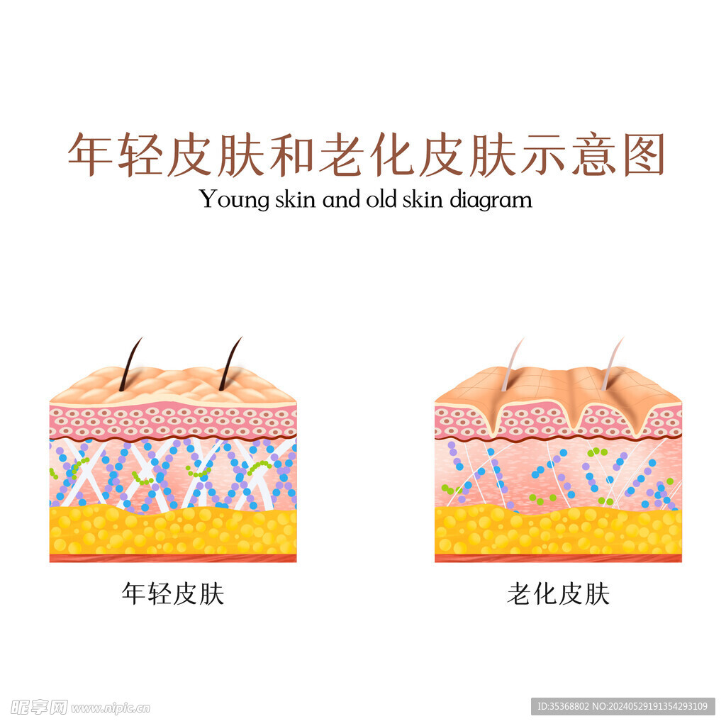 皮膚狀態(tài)對比