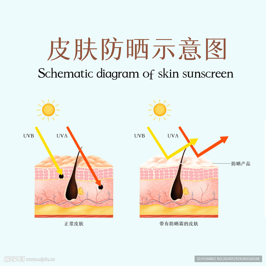 皮膚防嗮
