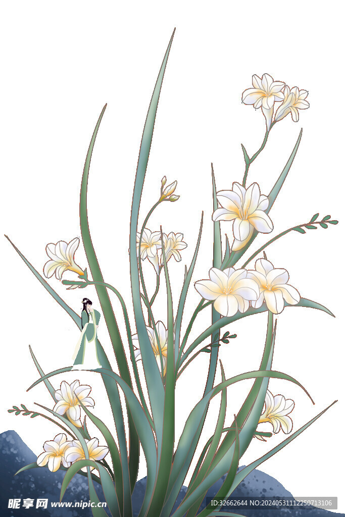 蘭花