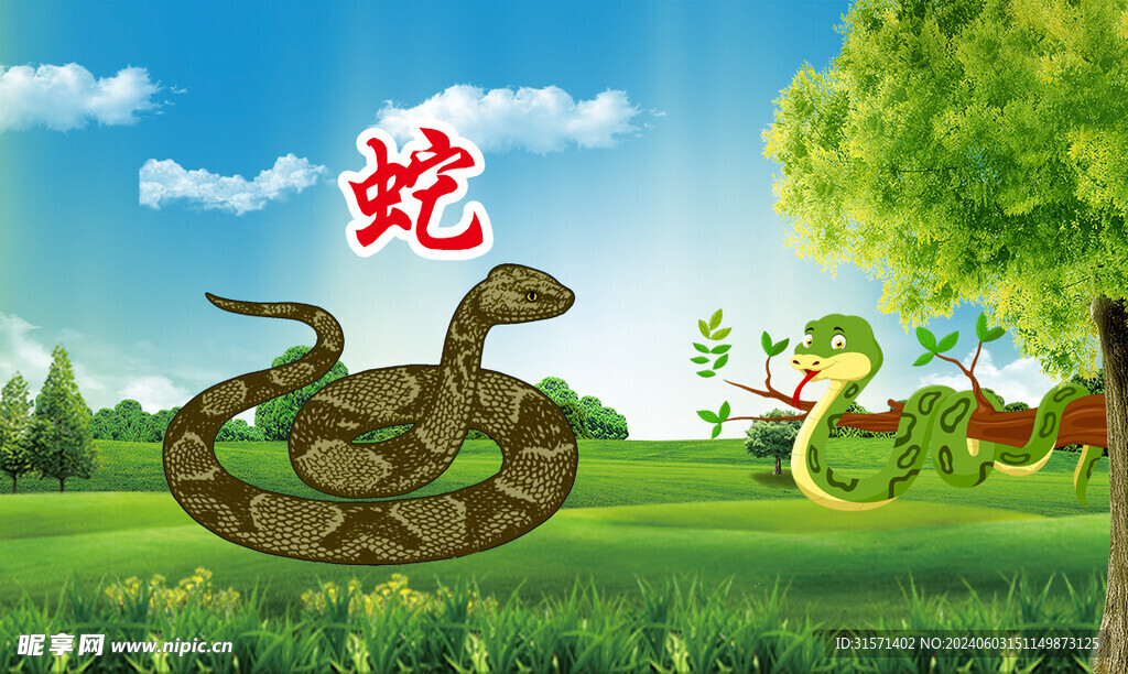 藍天草地