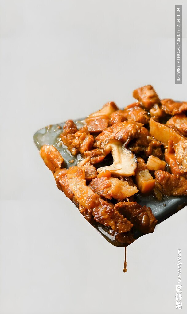 鹵肉