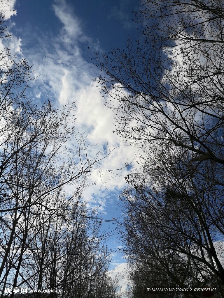 藍天白云