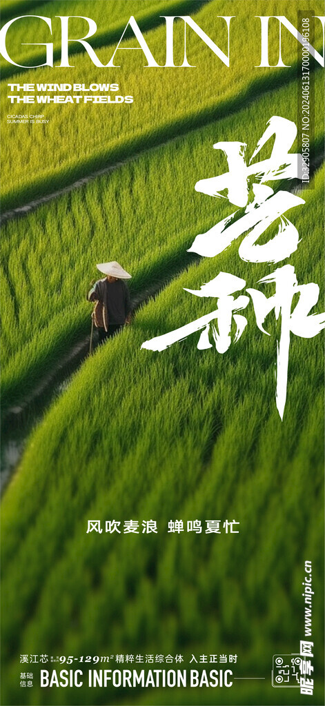 芒種節氣海報