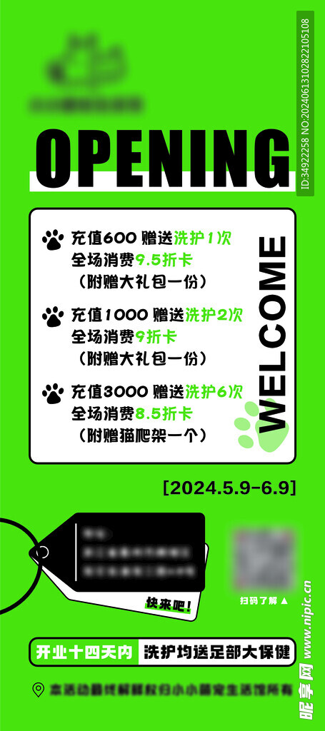 萌貓
