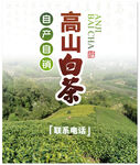 安吉白茶海報
