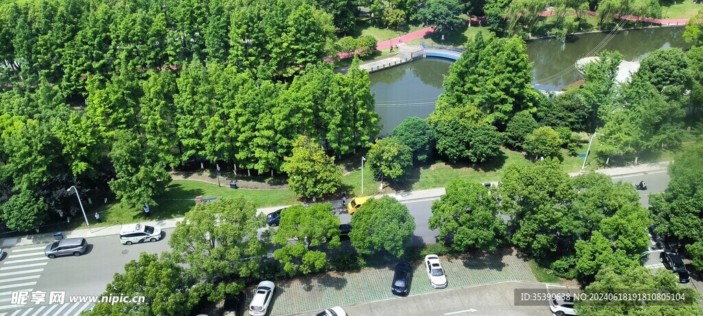 綠色街景