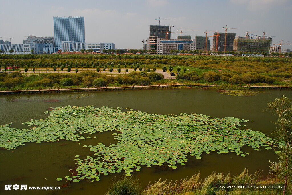 哈爾濱金河灣濕地公園