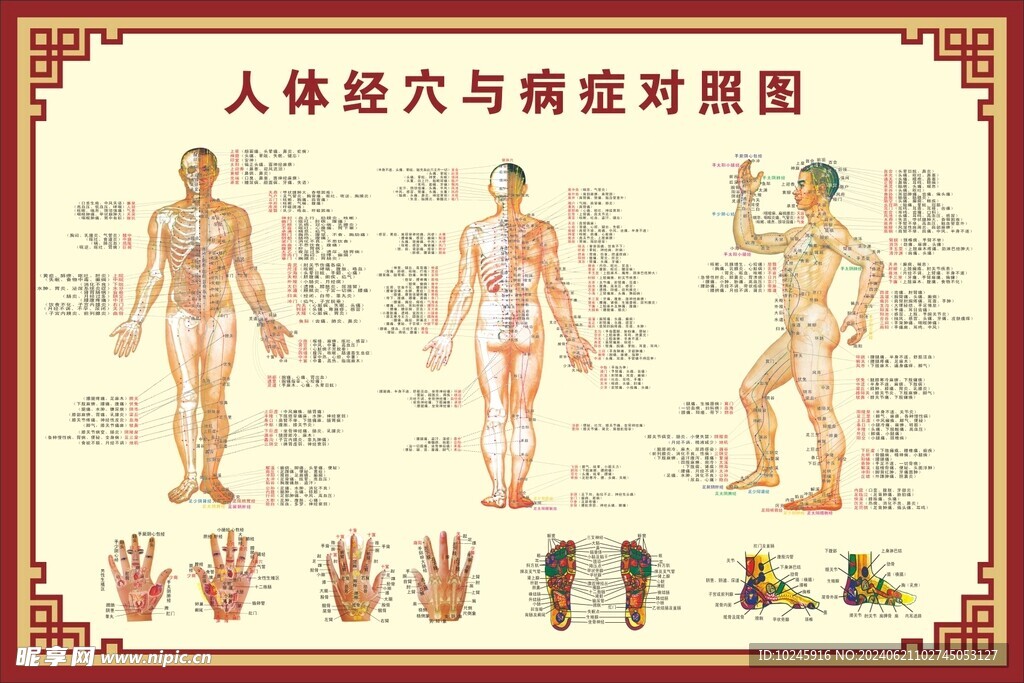 經穴與病癥對照圖