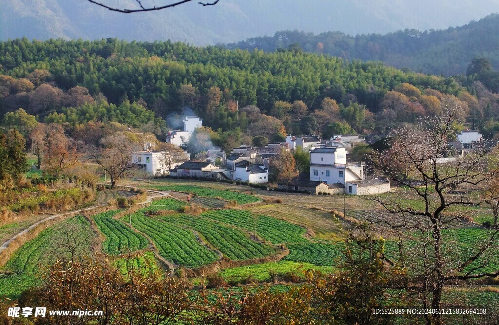 江西  鄉村  田園   農村