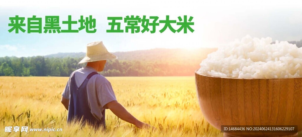 大米海報畫面效果