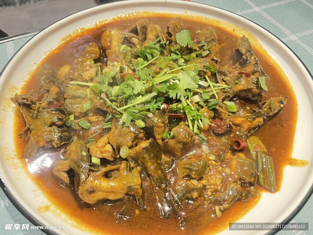 魚