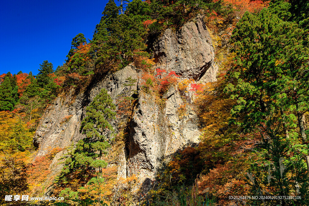 阿蘇山風景